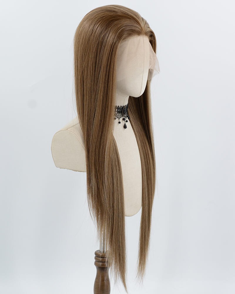 Brown Skunk Stripe Blonde Synthetic Lace Front Wig WW1004 — view 2